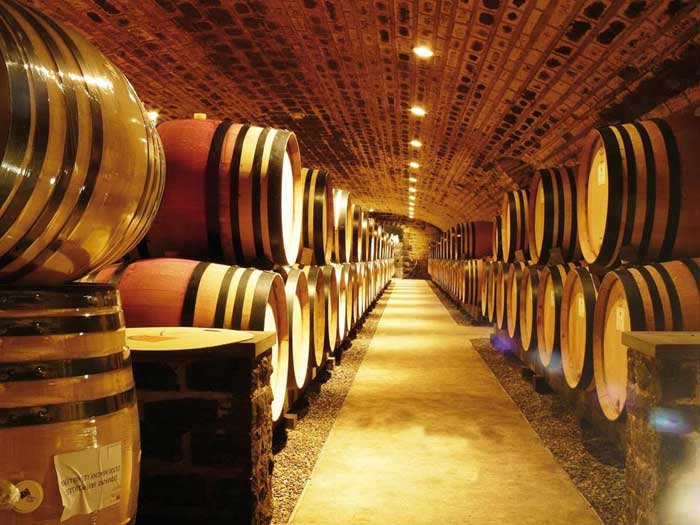 Degustace burgundských vín